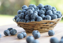 Ilaru: Transformando el mercado de los arándanos en Ecuador