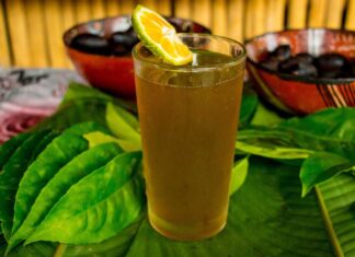 ¿Guayusa vs. café? El nuevo hack natural para rendir al máximo